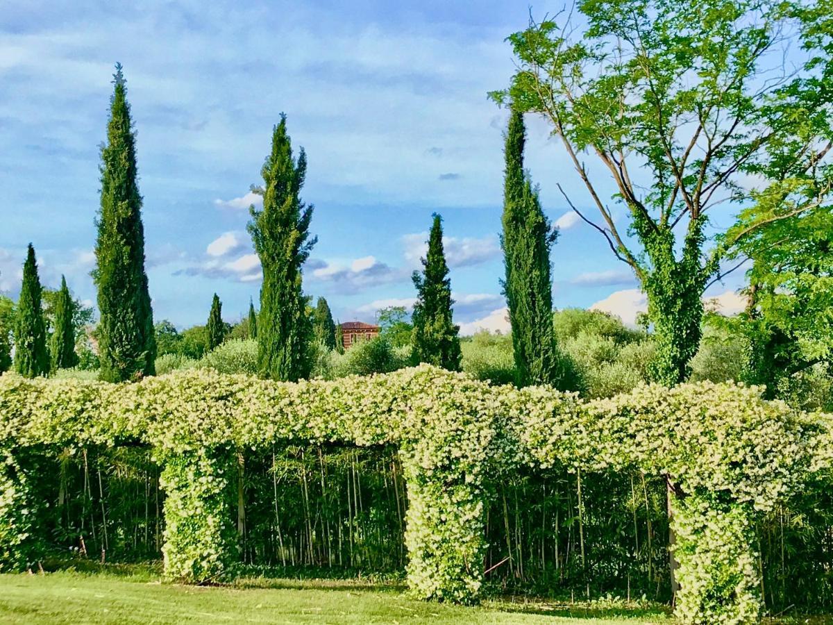 Agriturismo Antica Dimora Del Turco Сона Екстериор снимка
