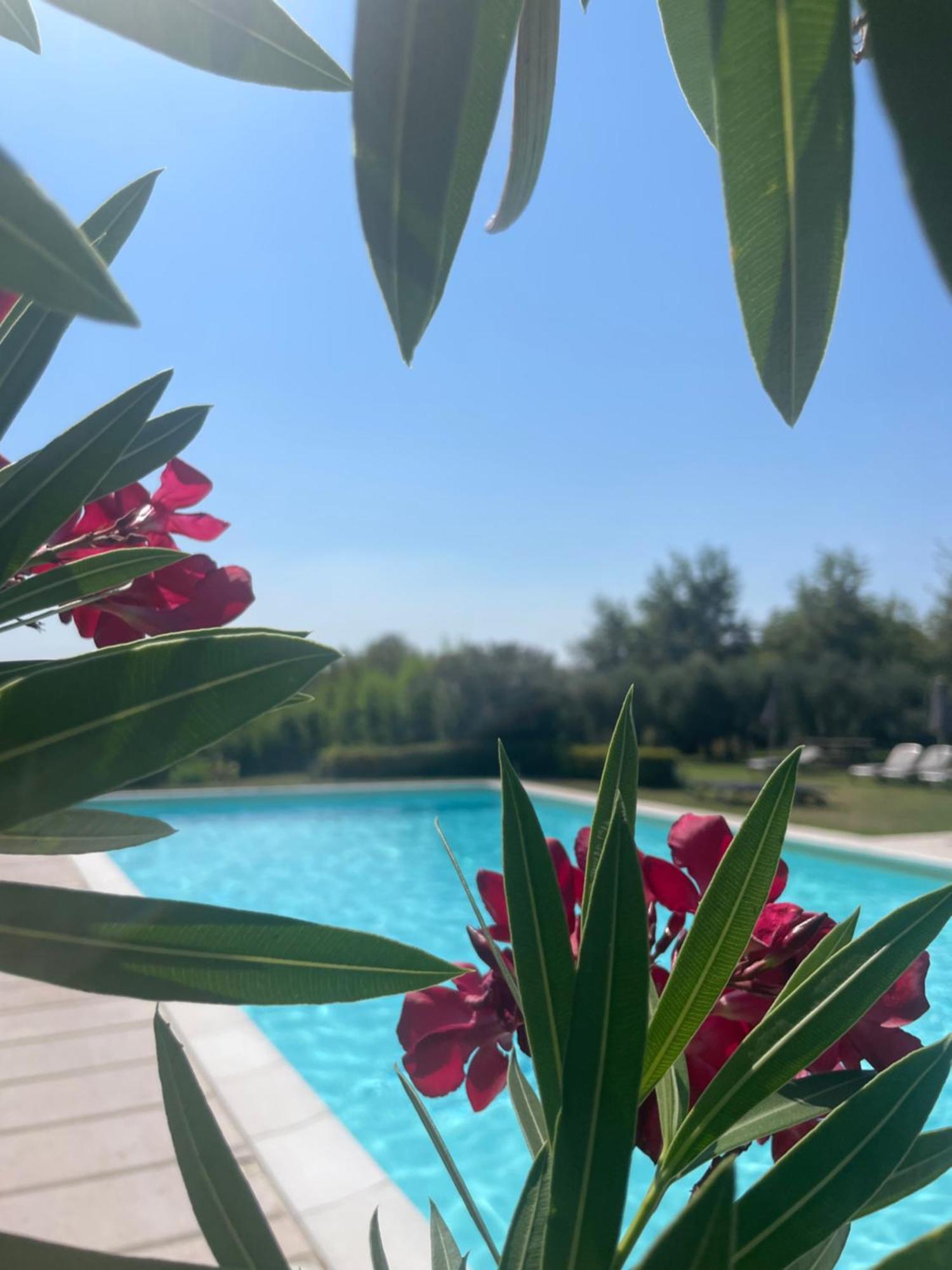 Agriturismo Antica Dimora Del Turco Сона Екстериор снимка